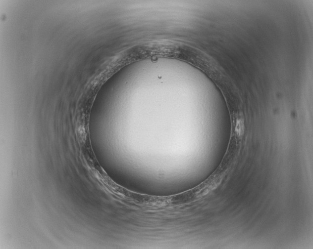 X0000052550771200507221450