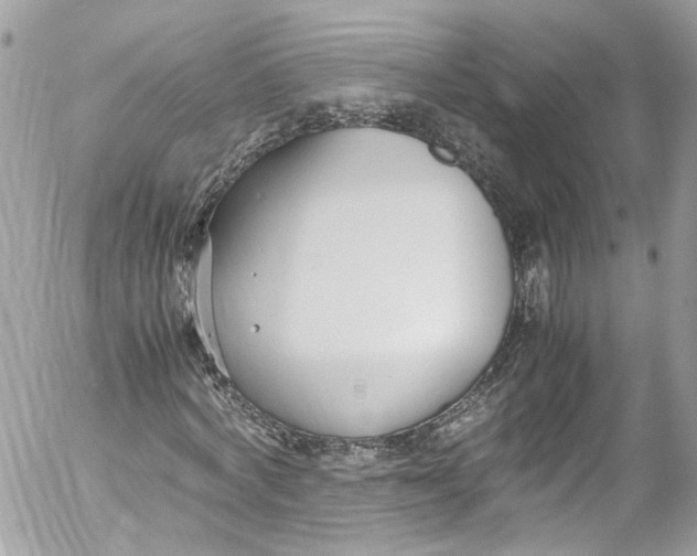 X0000052550772200507221450