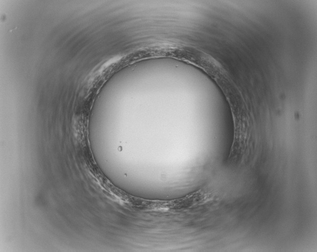 X0000052550773200507221450