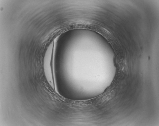 X0000052550774200507221450