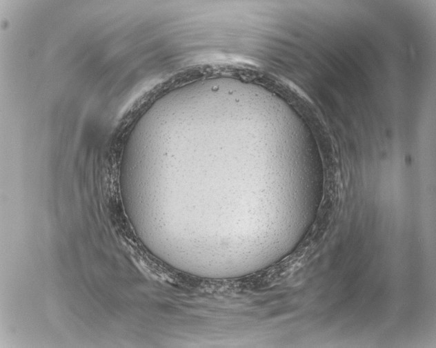 X0000052550775200507221450