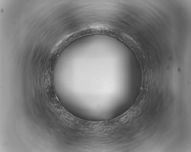 X0000052550776200507221450