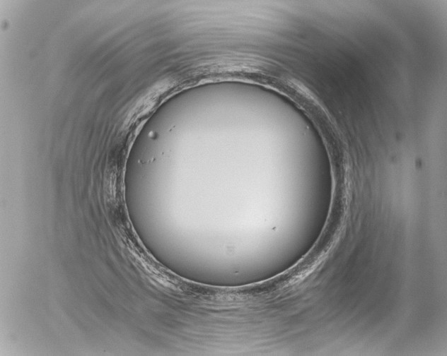 X0000052550777200507221450