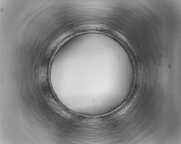 X0000052550778200507221450