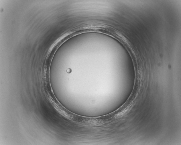 X0000052550779200507221450