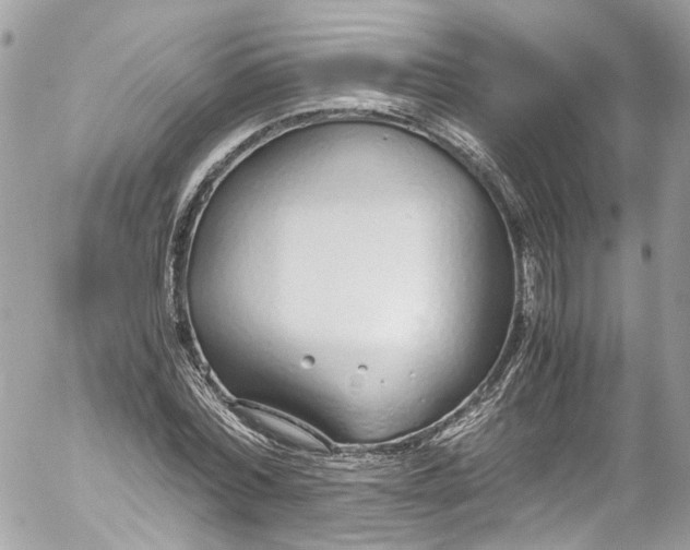 X0000052550780200507221450