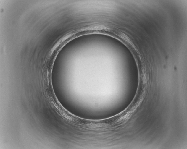 X0000052550781200507221450