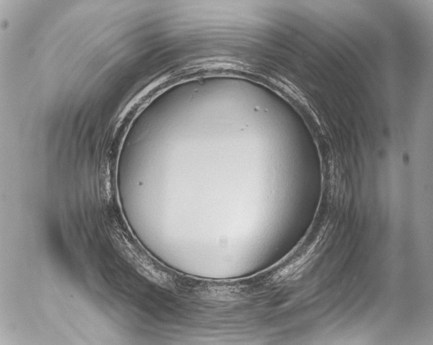 X0000052550782200507221450