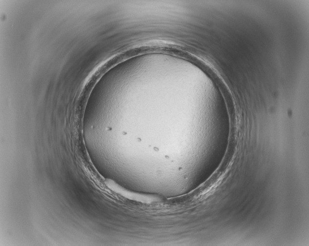 X0000052550783200507221450