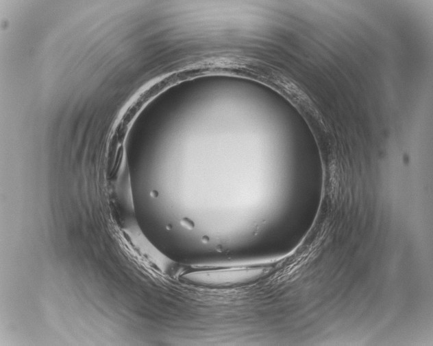 X0000052550784200507221450