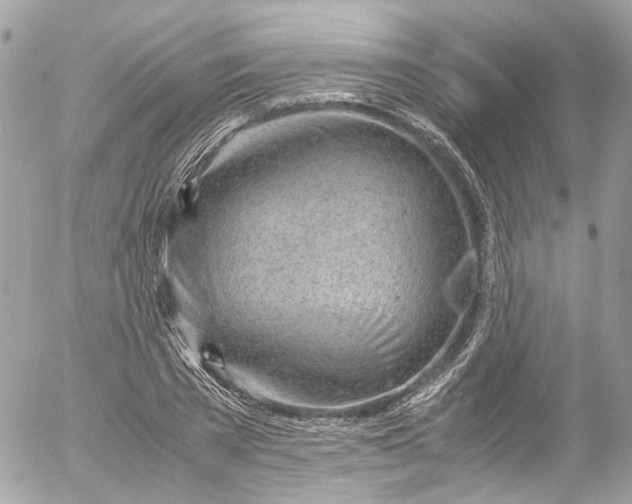 X0000052550785200507221450