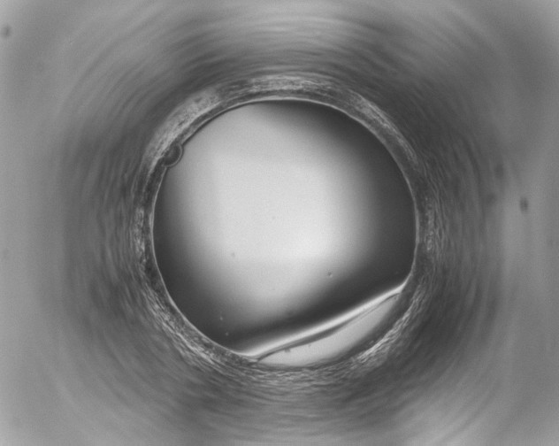 X0000052550786200507221450