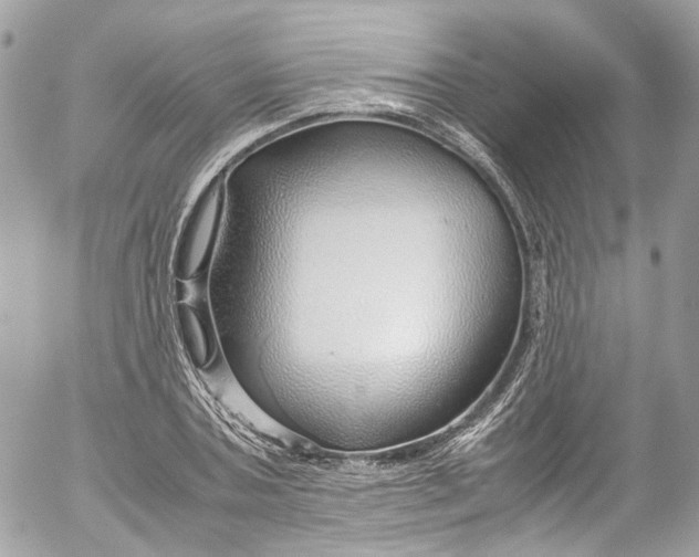 X0000052550787200507221450