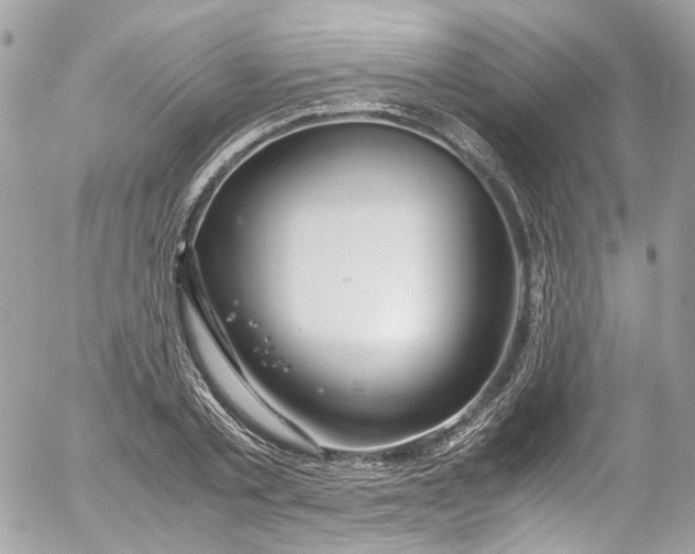 X0000052550789200507221450