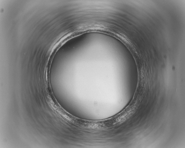 X0000052550790200507221450