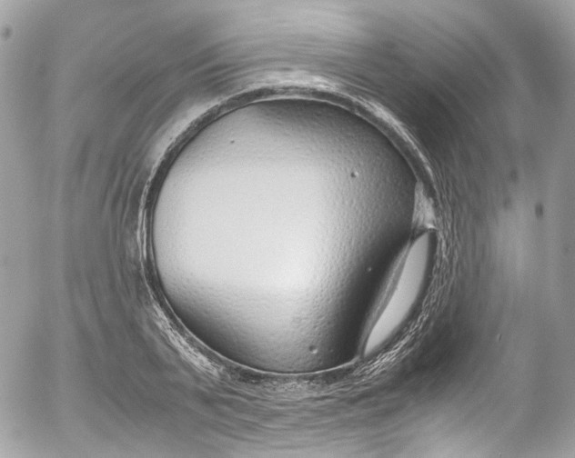 X0000052550791200507221450