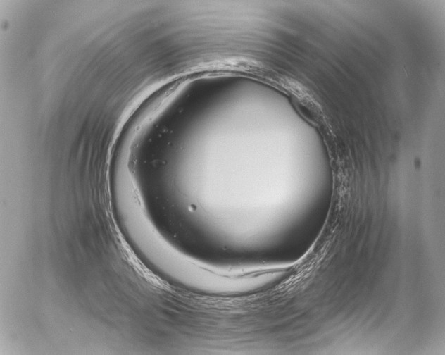 X0000052550792200507221450