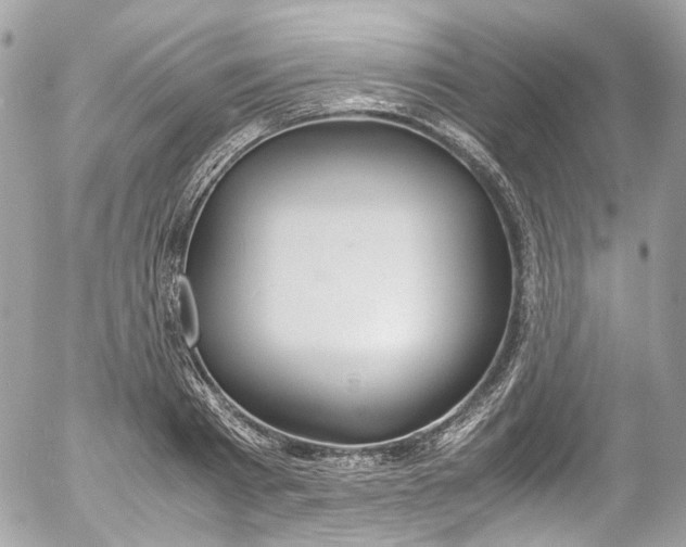 X0000052550793200507221450