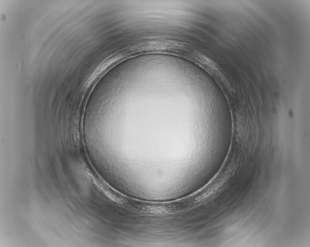 X0000052550794200507221450