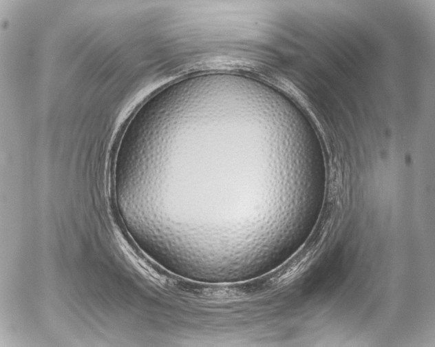 X0000052550795200507221450