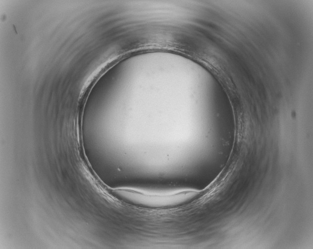 X0000052550796200507221449