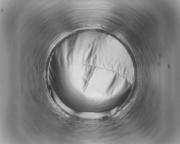 X0000052550797200507221449