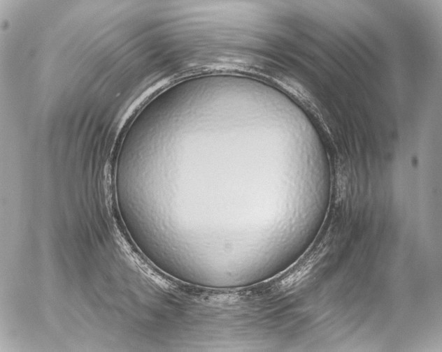 X0000052550798200507221449