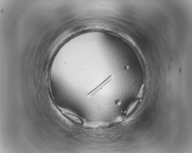 X0000052550799200507221449