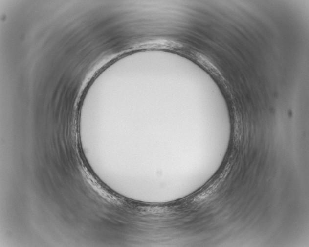 X0000052550800200507221449