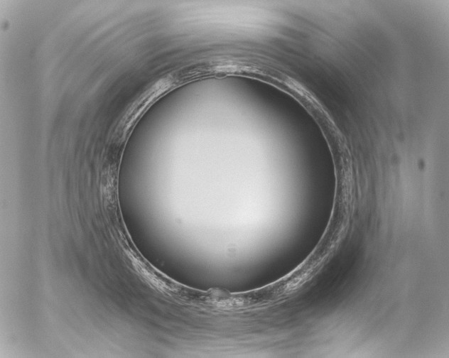 X0000052550801200507221449