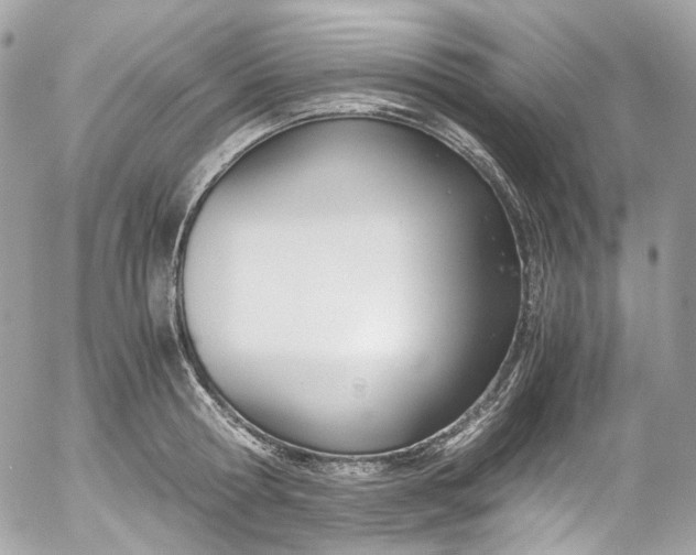 X0000052550802200507221449