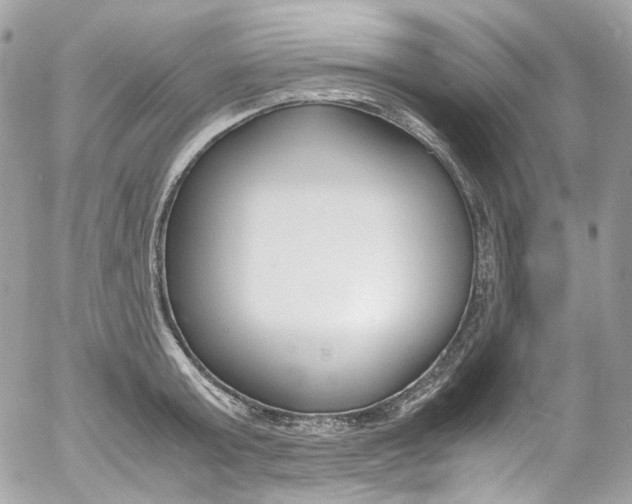 X0000052550803200507221449