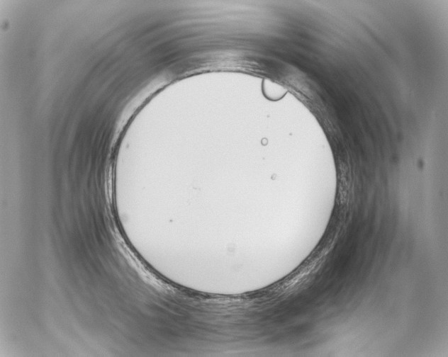 X0000052550804200507221449