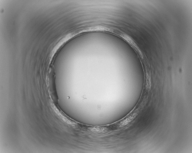 X0000052550805200507221449