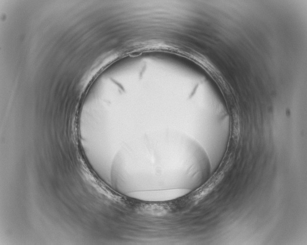 X0000052550806200507221449