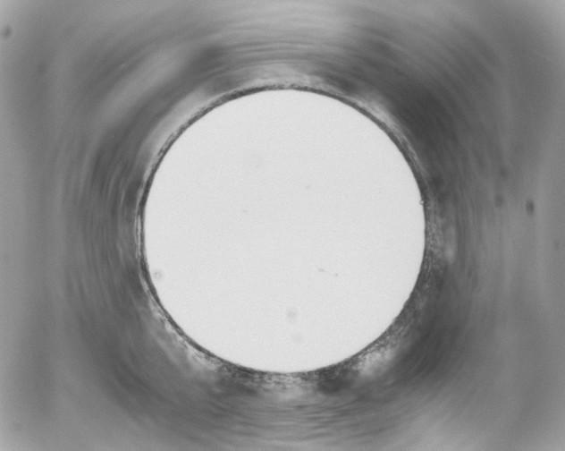 X0000052550807200507221449