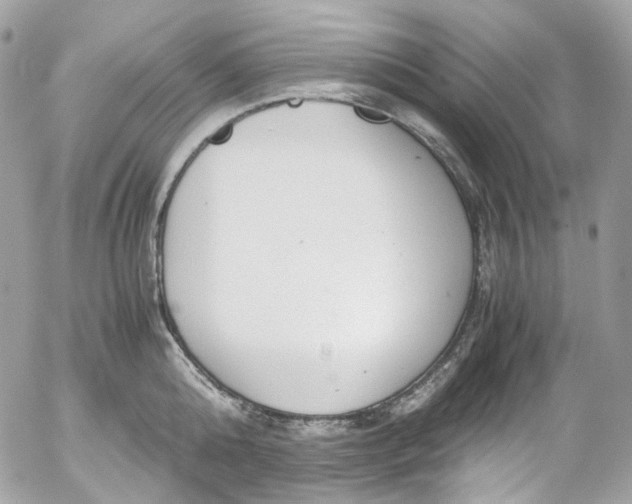 X0000052550808200507221449