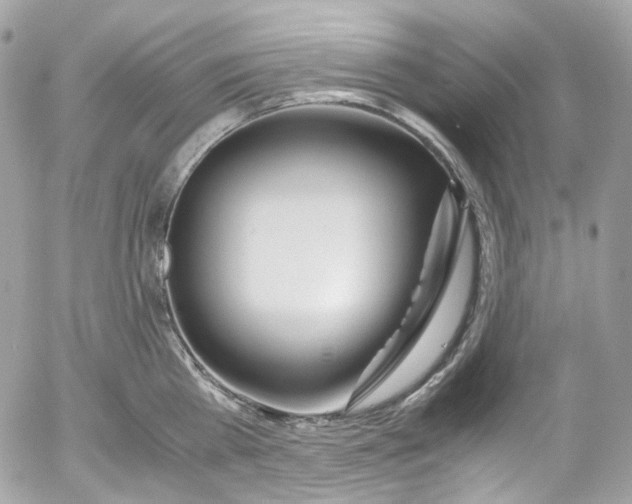 X0000052550809200507221449