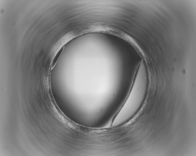 X0000052550810200507221449