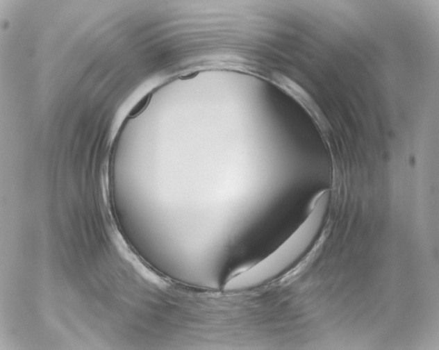 X0000052550812200507221449