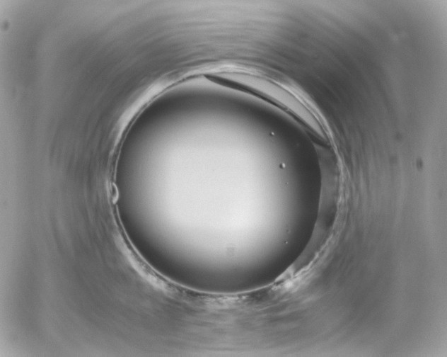 X0000052550813200507221449