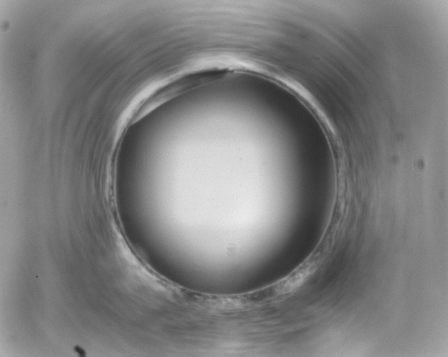 X0000052550815200507221449