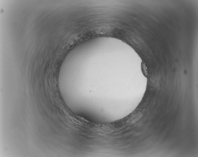 X0000052550817200507221448