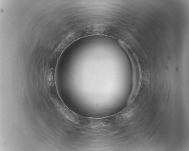 X0000052550818200507221448