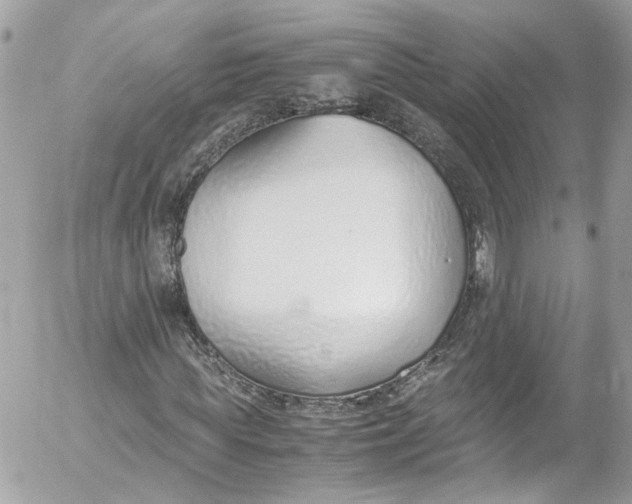 X0000052550819200507221448