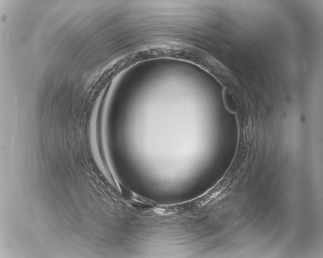 X0000052550822200507221448