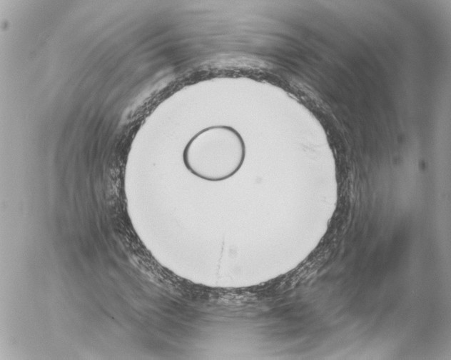 X0000052550824200507221448