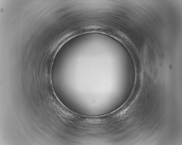 X0000052550825200507221449