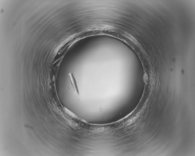 X0000052550826200507221449