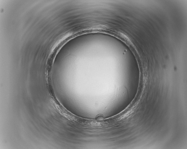 X0000052550827200507221449